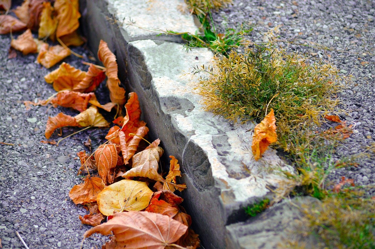 Enhance Curb Appeal This Autumn in Cleveland, Ohio