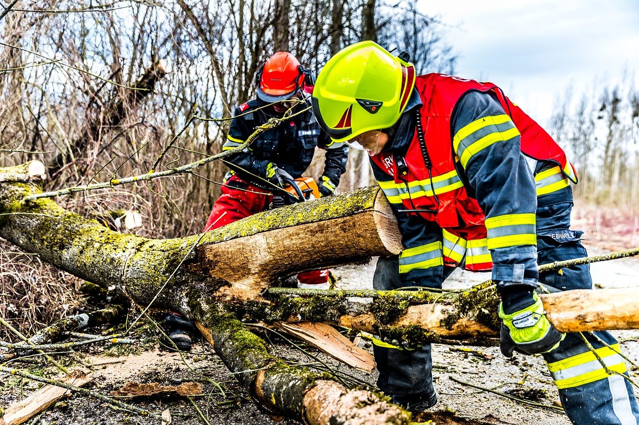 Storm Damage Cleanup and Resources in Cleveland, OH