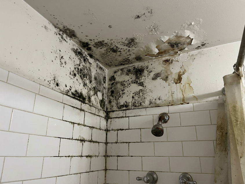 Mold problems in Cleveland homes: sell as-is instead of remediating